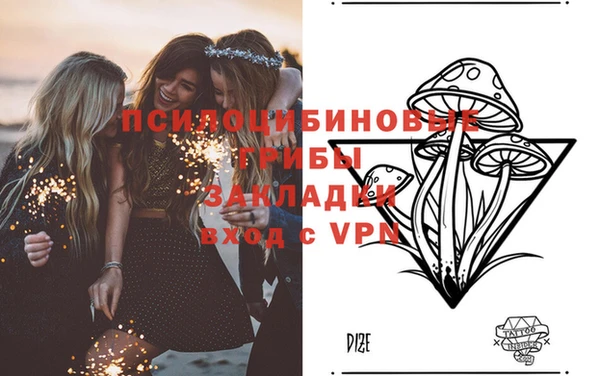эйфоретик Аркадак
