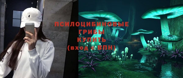 метадон Арсеньев
